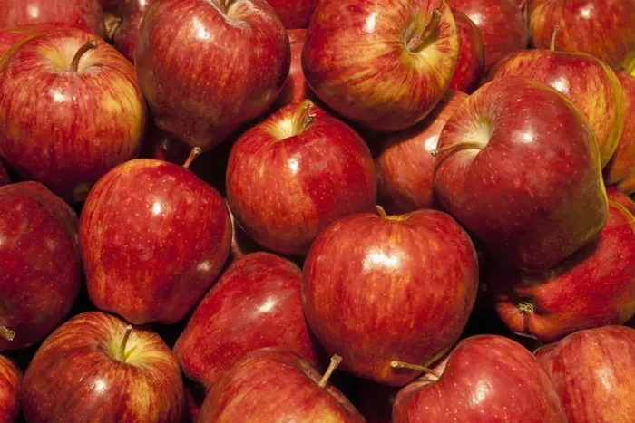 Framed Print : Red Delicious apples Framed Print : Red Delicious apples