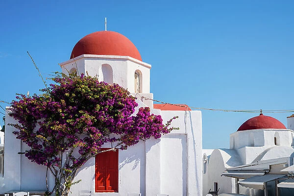 Red dome church and pink bougainvillea, Mykonos, Greece