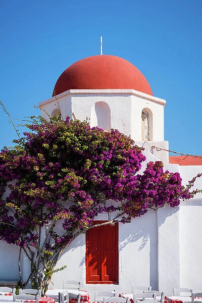 Red dome church and pink flowers, Mykonos, Greece