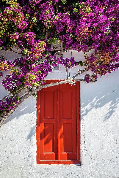 Red door and bougainvillea, Mykonos, Greece