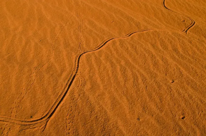 Framed Print : Red dunes, Kgalagadi Transfrontier Park, Kalahari Desert, Northern Cape, South Africa, Africa Framed Print : Red dunes, Kgalagadi Transfrontier Park, Kalahari Desert, Northern Cape, South Africa, Africa