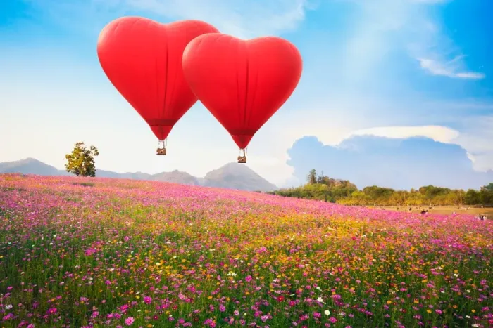 Framed Print : Red heart air balloon over on Beautiful Cosmos Flower in park Framed Print : Red heart air balloon over on Beautiful Cosmos Flower in park