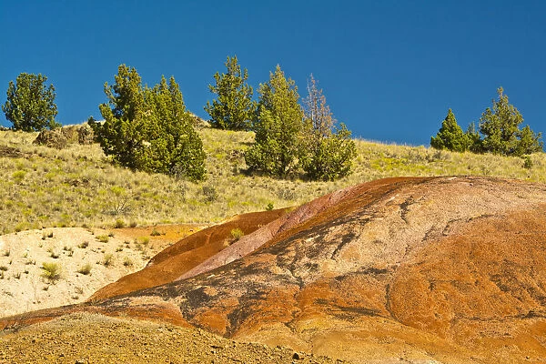 Red Hill Trail, Painted Hills, John Day Fossil Beds National Monument, Mitchell, Oregon, USA