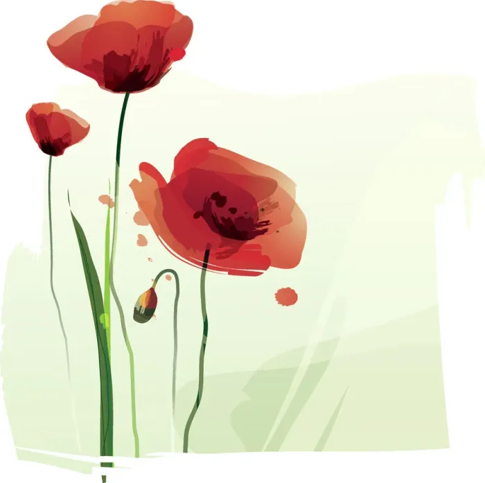 Framed Print : Red Poppies, 165903050 Framed Print : Red Poppies, 165903050