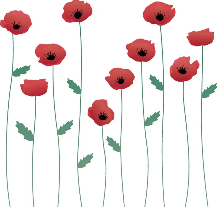 Framed Print : Red Poppies, 165979361 Framed Print : Red Poppies, 165979361