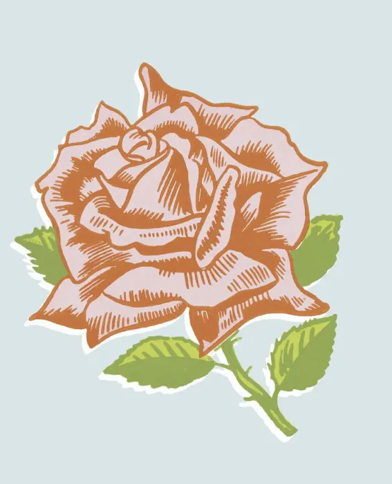 Framed Print : Red Rose. http: / / csaimages.com / images / istockprofile / csa_vector_dsp.jpg Framed Print : Red Rose. http: / / csaimages.com / images / istockprofile / csa_vector_dsp.jpg