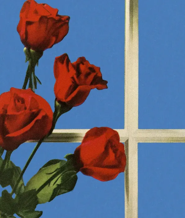 Framed Print : Four Red Roses Framed Print : Four Red Roses