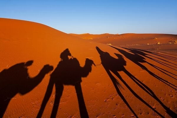 Red Sahara. Trekking through the Sahara Desert in Morocco via camel during sunrise