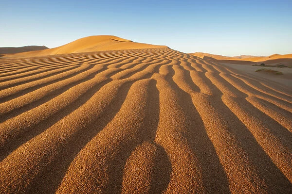 Red Sand Dunes landscape scene in Sossusvlei, Namib-Naukluft National Park, Namibia