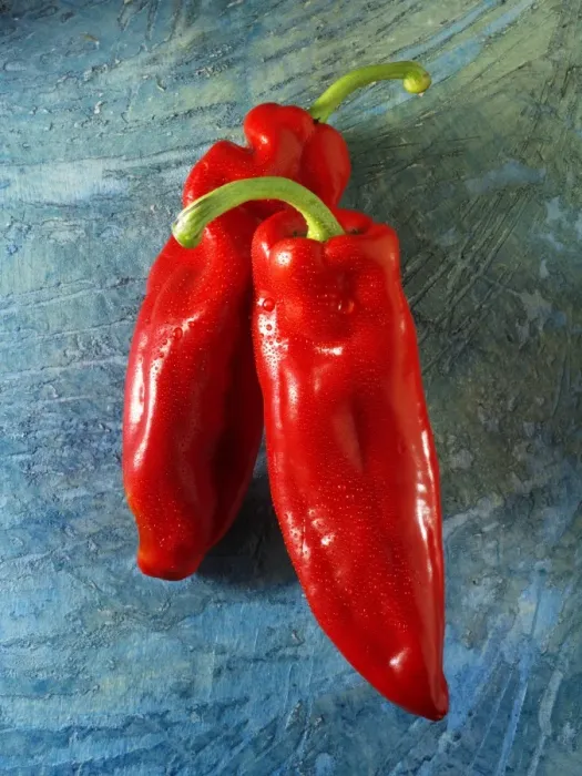 Framed Print : Red sweet long peppers Framed Print : Red sweet long peppers