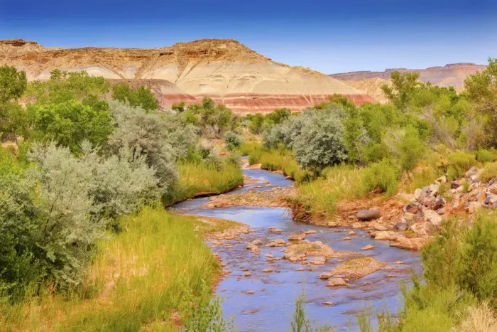 Framed Print : Red White Sandstone Mountain and Fremont River, Capitol Reef National Park, Torrey, Utah, USA Framed Print : Red White Sandstone Mountain and Fremont River, Capitol Reef National Park, Torrey, Utah, USA