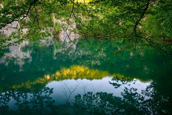 Reflected Nature at Plitvice Lakes National Park