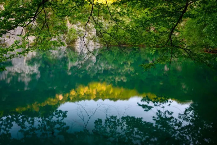 Framed Print : Reflected Nature at Plitvice Lakes National Park