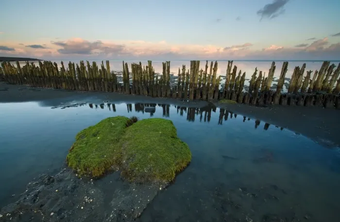 Framed Print : Reflecting the remants of human activity along the Waddensea in the Netherlands