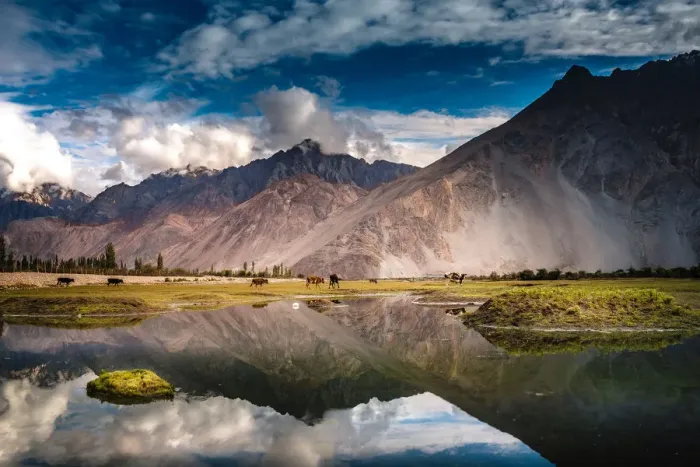 Framed Print : Reflection lake