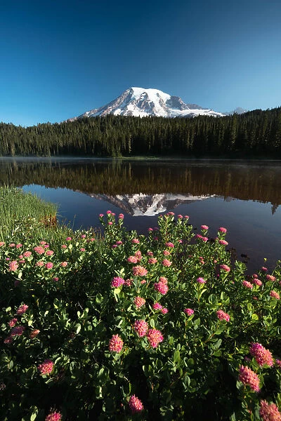 Reflection lake Mount Rainier