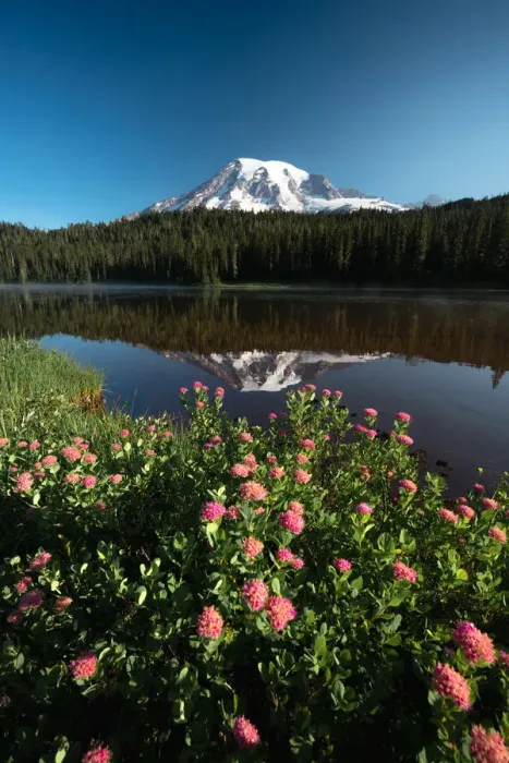 Framed Print : Reflection lake Mount Rainier Framed Print : Reflection lake Mount Rainier