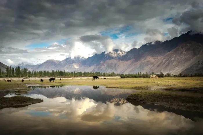 Framed Print : Reflection lake in nubra valley Framed Print : Reflection lake in nubra valley