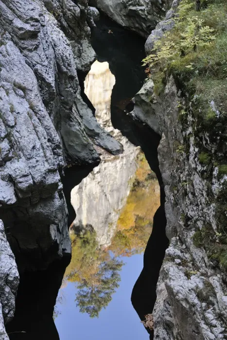 Framed Print : Reflection in the Reka river, Skocjanske jame, Skocjan Caves Park, Grotto of San Canziano, Skocjan, Slovenia, Europe Framed Print : Reflection in the Reka river, Skocjanske jame, Skocjan Caves Park, Grotto of San Canziano, Skocjan, Slovenia, Europe