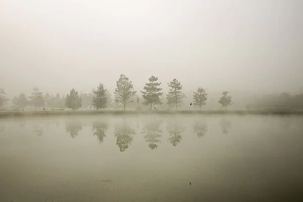 Reflections in the fog