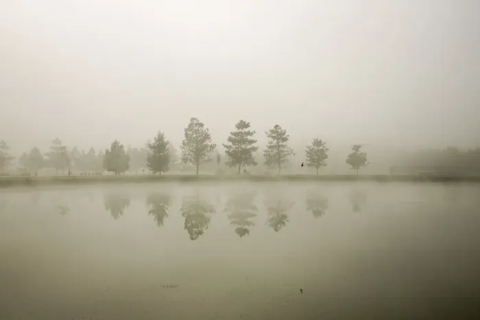 Framed Print : Reflections in the fog Framed Print : Reflections in the fog