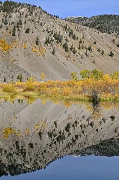 Reflections in the Trail Creek, Trail Creek Valley, Sun Valley, Idaho, USA