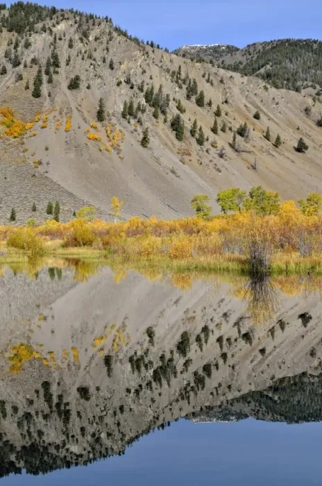 Framed Print : Reflections in the Trail Creek, Trail Creek Valley, Sun Valley, Idaho, USA Framed Print : Reflections in the Trail Creek, Trail Creek Valley, Sun Valley, Idaho, USA