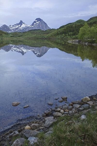 Reflections on the water surface of a lake, Norway, Scandinavia, Europe