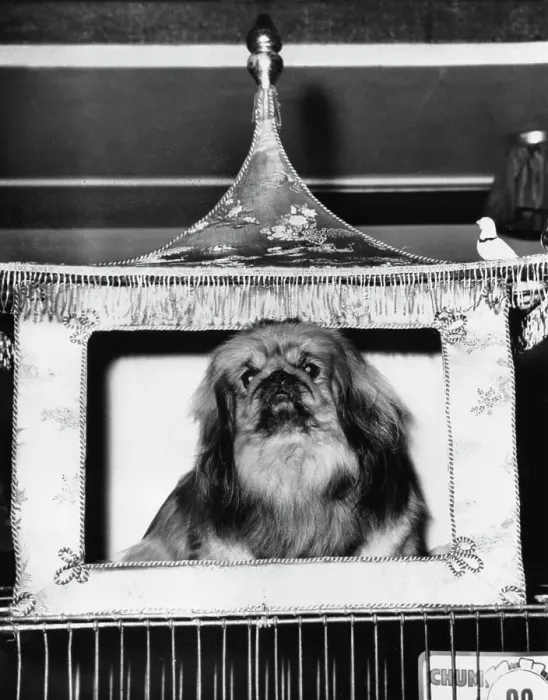 Framed Print : Regal Setting Framed Print : Regal Setting