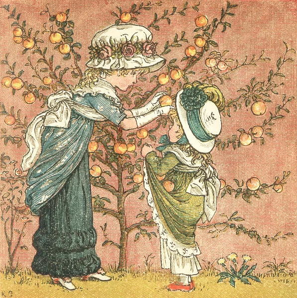 Regency style girls picking peaches in a summer garden