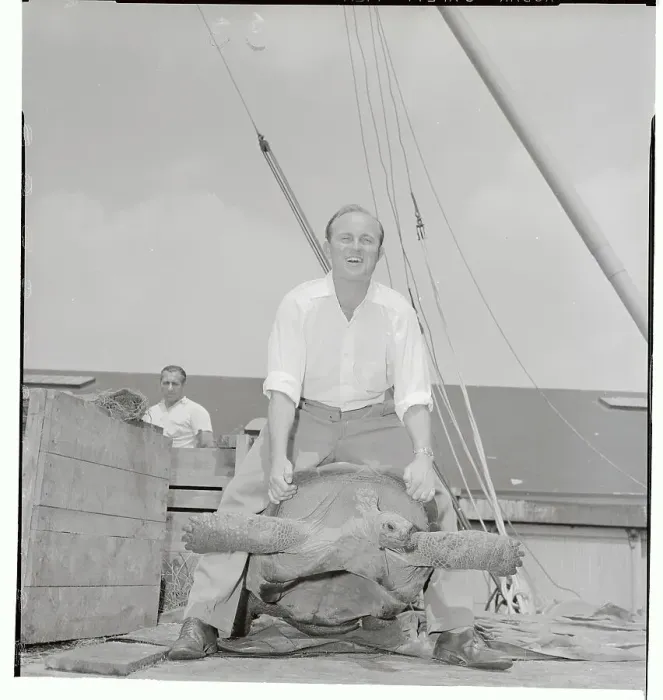 Framed Print : Reggie Brown Holding a Tortoise Framed Print : Reggie Brown Holding a Tortoise