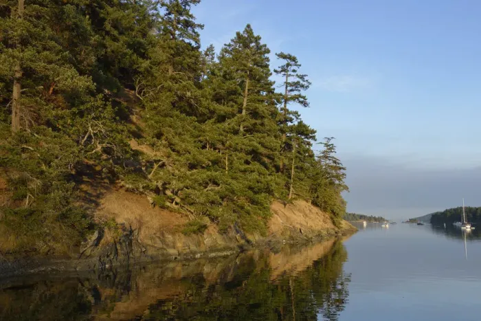 Framed Print : Reid Harbor in a calm evening, Stuart Island, San Juan Islands, Washington State, USA Framed Print : Reid Harbor in a calm evening, Stuart Island, San Juan Islands, Washington State, USA
