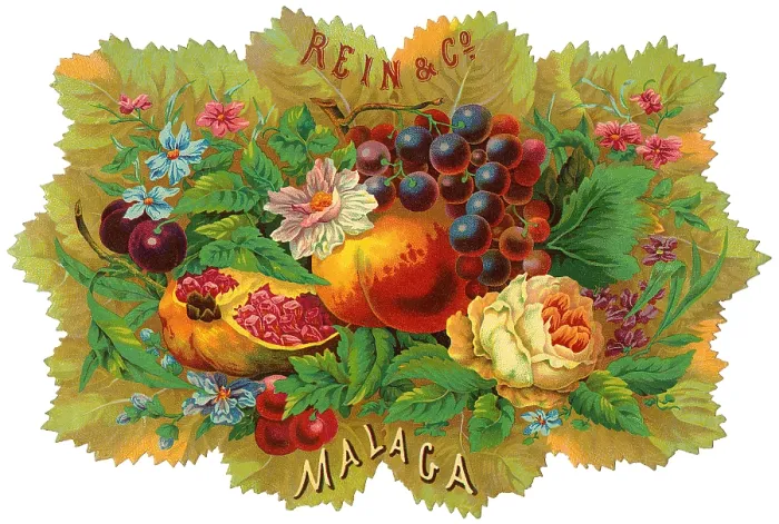 Framed Print : Rein & Co. Spanish fruit crate label from the Rein and Co Framed Print : Rein & Co. Spanish fruit crate label from the Rein and Co