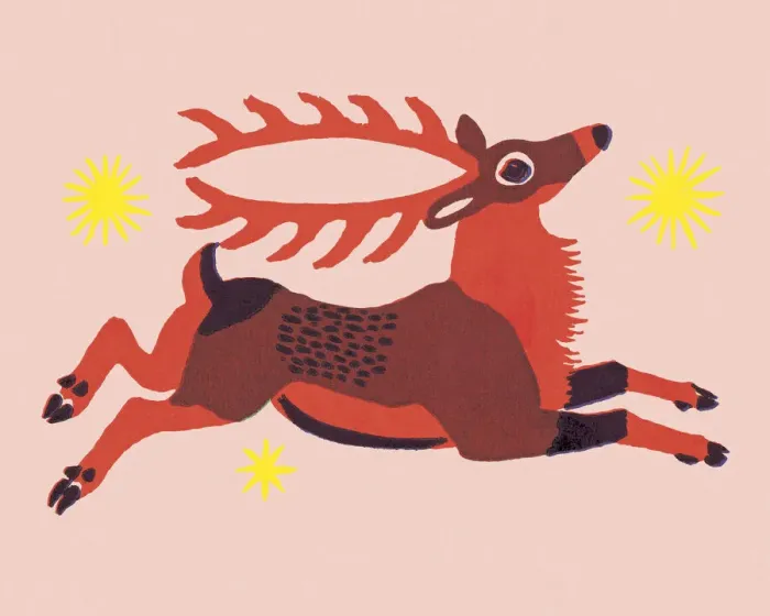 Framed Print : Reindeer Framed Print : Reindeer