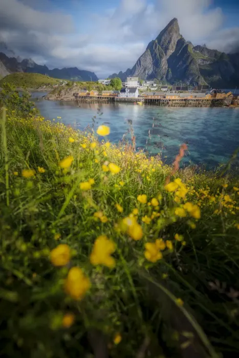 Framed Print : Reine village in the Summer, Lofoten Islands, Norway Framed Print : Reine village in the Summer, Lofoten Islands, Norway