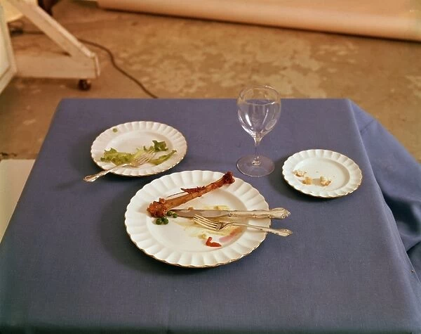 Remains Of A Meal For One