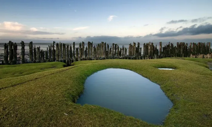 Framed Print : Remnants of human activity in tidal coastal area at Dutch northcoast Framed Print : Remnants of human activity in tidal coastal area at Dutch northcoast