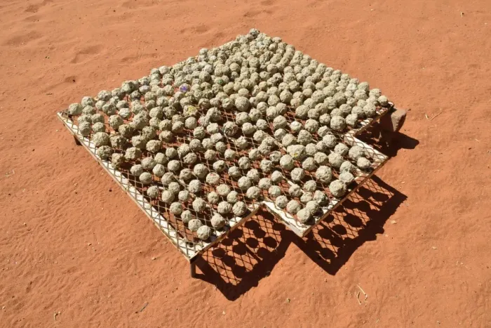 Framed Print : Renewable energy, balls of recycled paper, papier mache, paper mache, drying in the sun, Namibia
