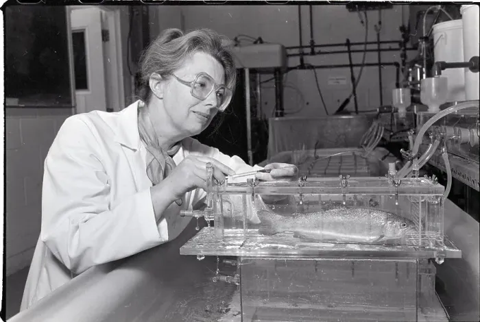 Framed Print : Researcher Conducts Test On Fish Framed Print : Researcher Conducts Test On Fish