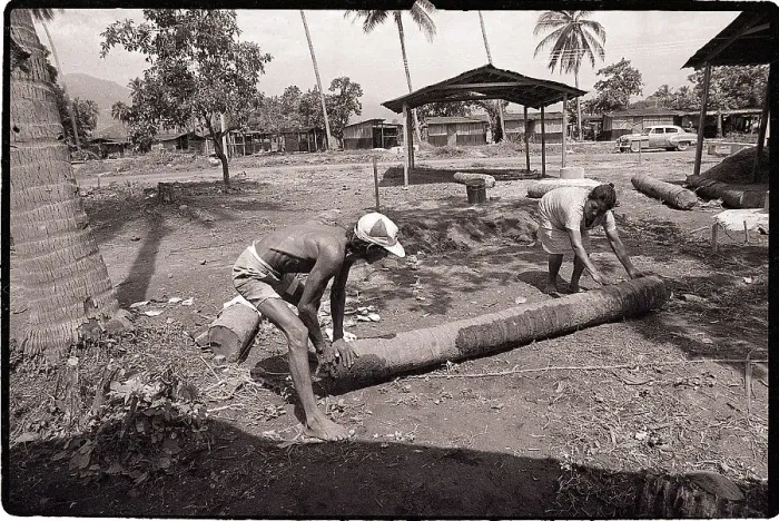 Framed Print : Residents of El Renacimiento Working Framed Print : Residents of El Renacimiento Working