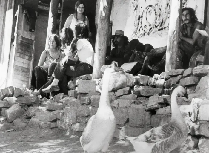 Framed Print : Residents and Geese Outside Hippie Commune Framed Print : Residents and Geese Outside Hippie Commune