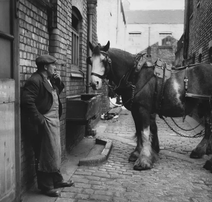 Framed Print : Rest At The Stables Framed Print : Rest At The Stables