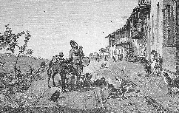 A restless impresario, street artist with donkey and dogs shows tricks in the street, painting by Giovanni Battista Quadrone, Italy, historical, digitally restored reproduction of a 19th century original