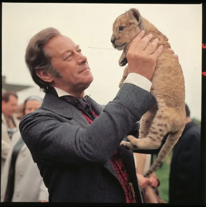 Framed Print : Rex Harrison Holding Small Tiger in the Air Framed Print : Rex Harrison Holding Small Tiger in the Air