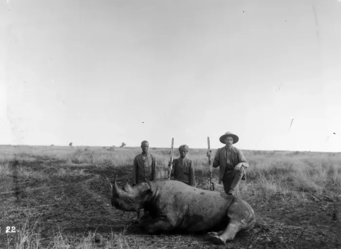 Framed Print : Rhino Hunt Framed Print : Rhino Hunt