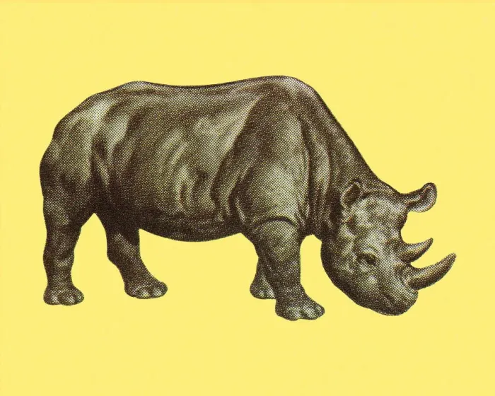 Framed Print : Rhinoceros Framed Print : Rhinoceros
