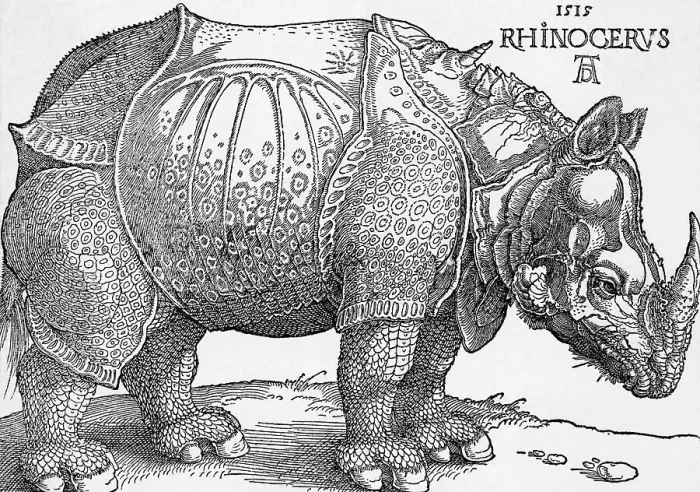 Framed Print : Rhinoceros by Albrecht Durer Framed Print : Rhinoceros by Albrecht Durer