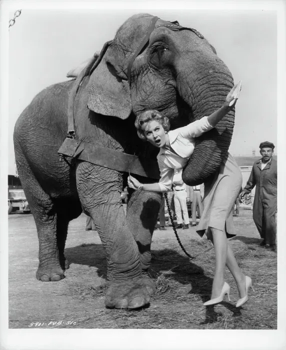 Framed Print : Rhonda Fleming In The Big Circus Framed Print : Rhonda Fleming In The Big Circus