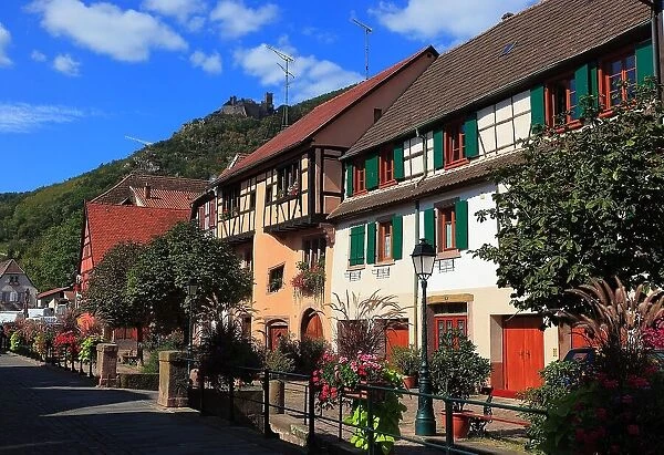 Ribeauville, Rappoltsweiler, Rappschwihr, in the department of Haut-Rhin in the Alsace region, France