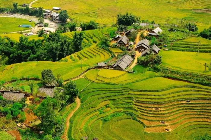 Framed Print : Rice field terraces Framed Print : Rice field terraces